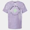 Heavyweight Color Blast Tee Thumbnail